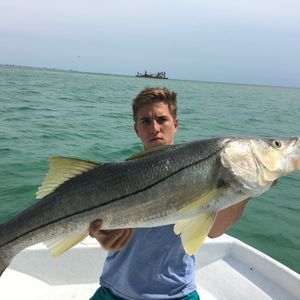 Meet your Posher, Justin